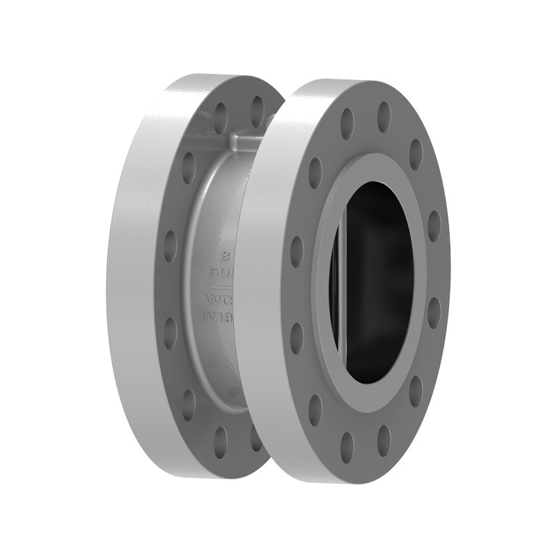 Dual Plate Check Valve