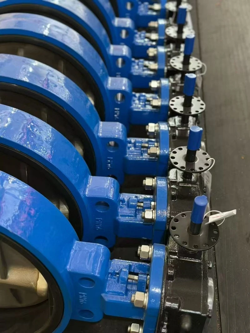 Semi Lug Butterfly Valve